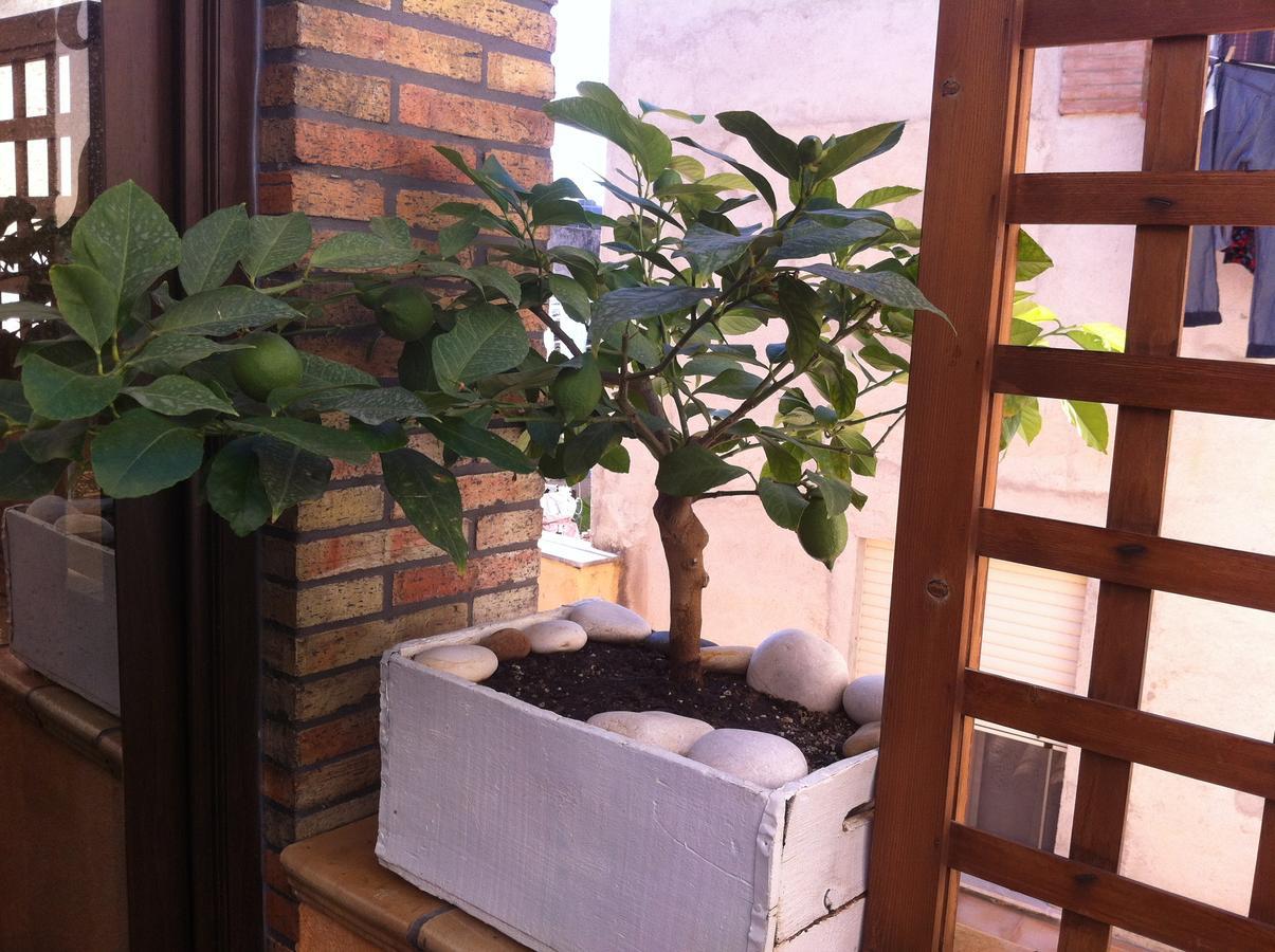 שאקה Guest House La Corte Normanna מראה חיצוני תמונה